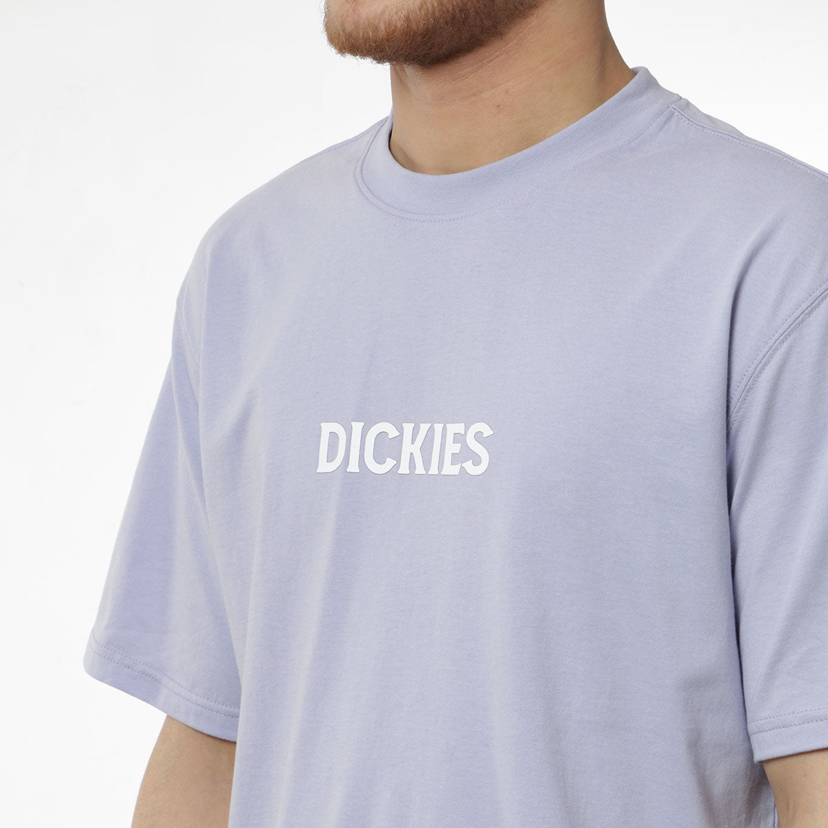 Dickies Patrick Springs T-Shirt, Cosmic Sky, Detail Shot 3