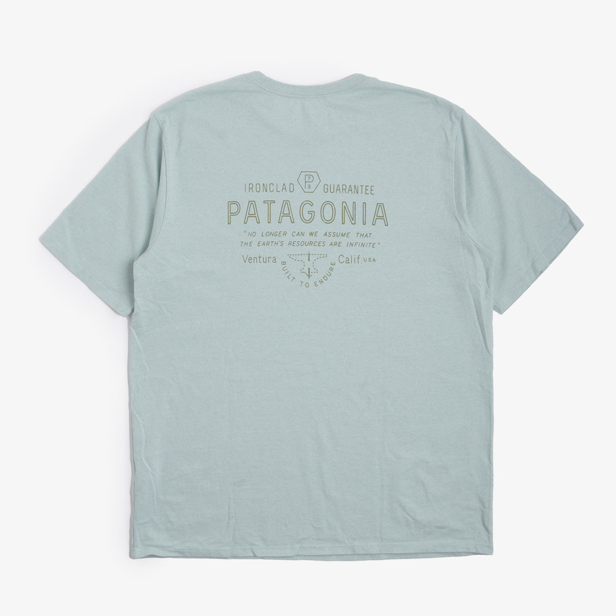 Patagonia Forge Mark Responsibili-Tee T-Shirt, Wispy Green, Detail Shot 5