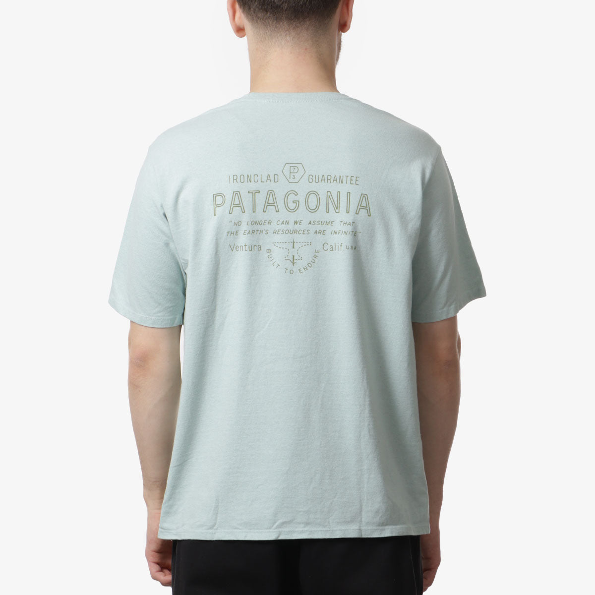 Patagonia Forge Mark Responsibili-Tee T-Shirt, Wispy Green, Detail Shot 2