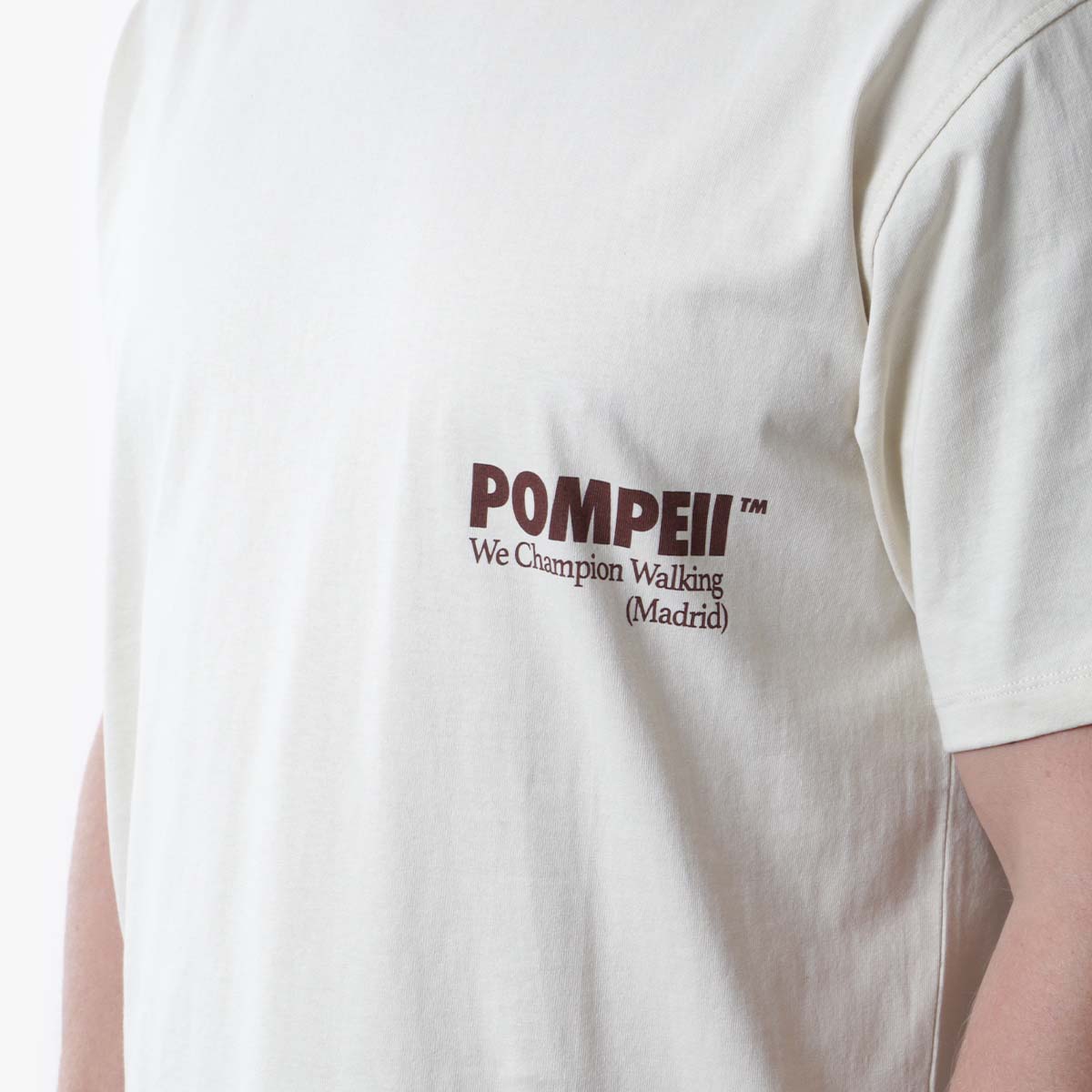 Pompeii Boxy Graphic T-Shirt, Beige, Detail Shot 2