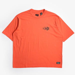 Levi's Skateboarding Graphic Boxy T-Shirt
