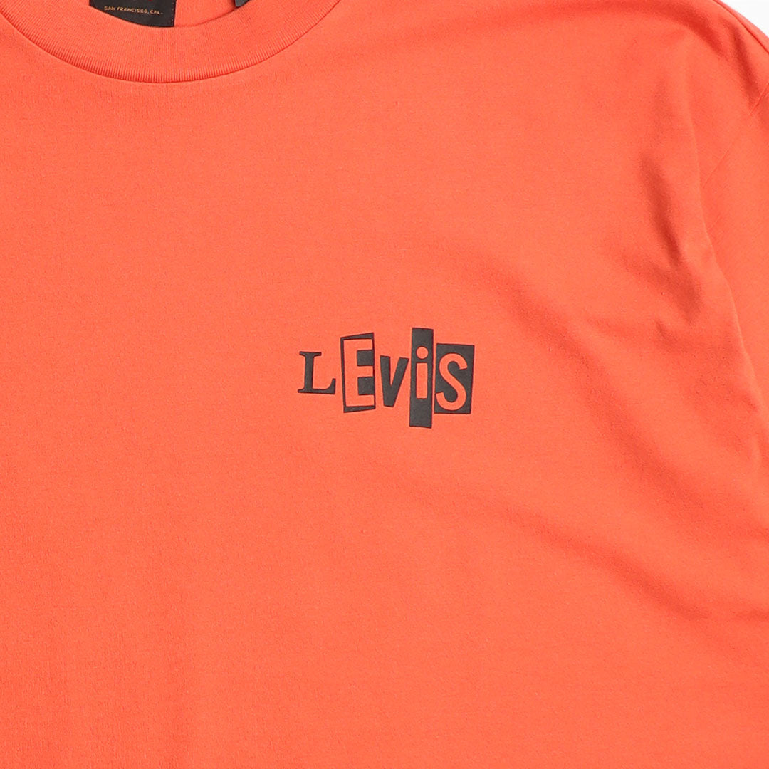 Levis Skate Graphic Box T-Shirt, Burnt Sienna, Detail Shot 3