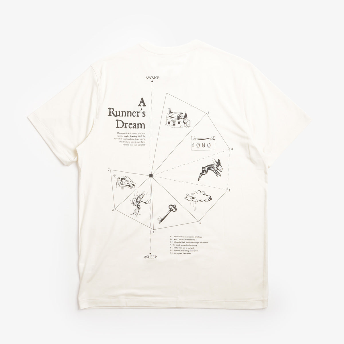 Acid Running A Runner's Dream T-Shirt