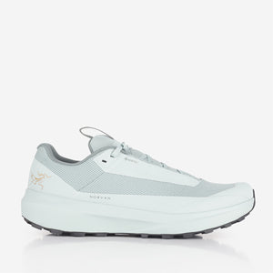 Arc'teryx Norvan LD 4 GTX Shoes - Green