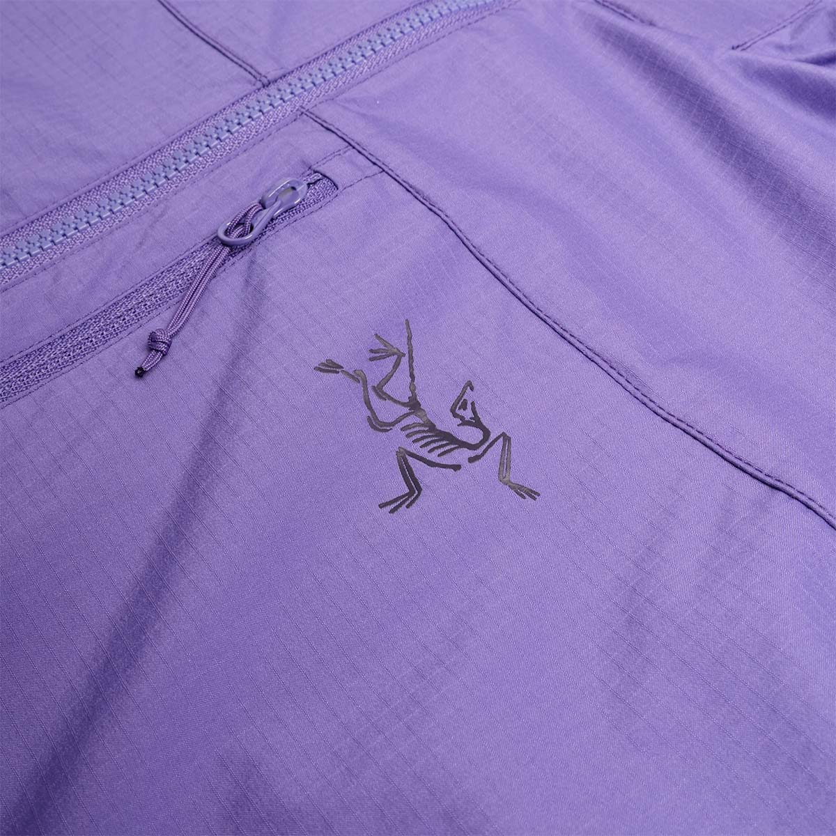 Arc'teryx Squamish Hoodie