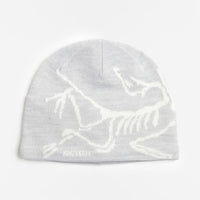 Arc'teryx Bird Head Toque