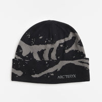 Arc'teryx Grotto Toque
