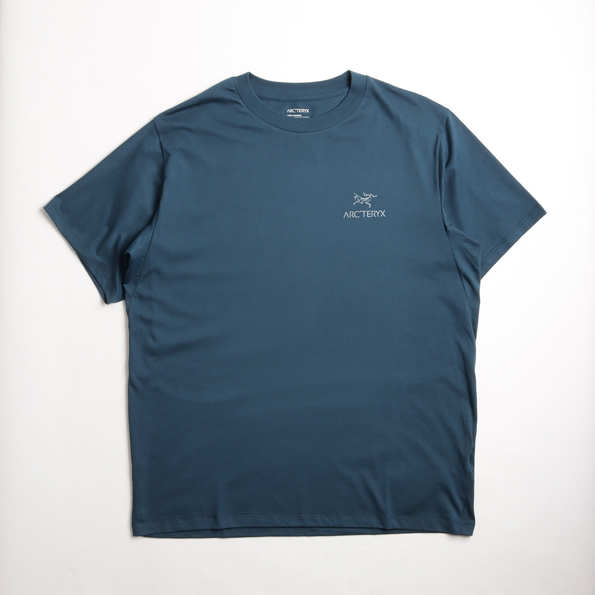 Arc'teryx Kragg SL Cotton Bird Word T-Shirt, Nightscape, Detail Shot 2