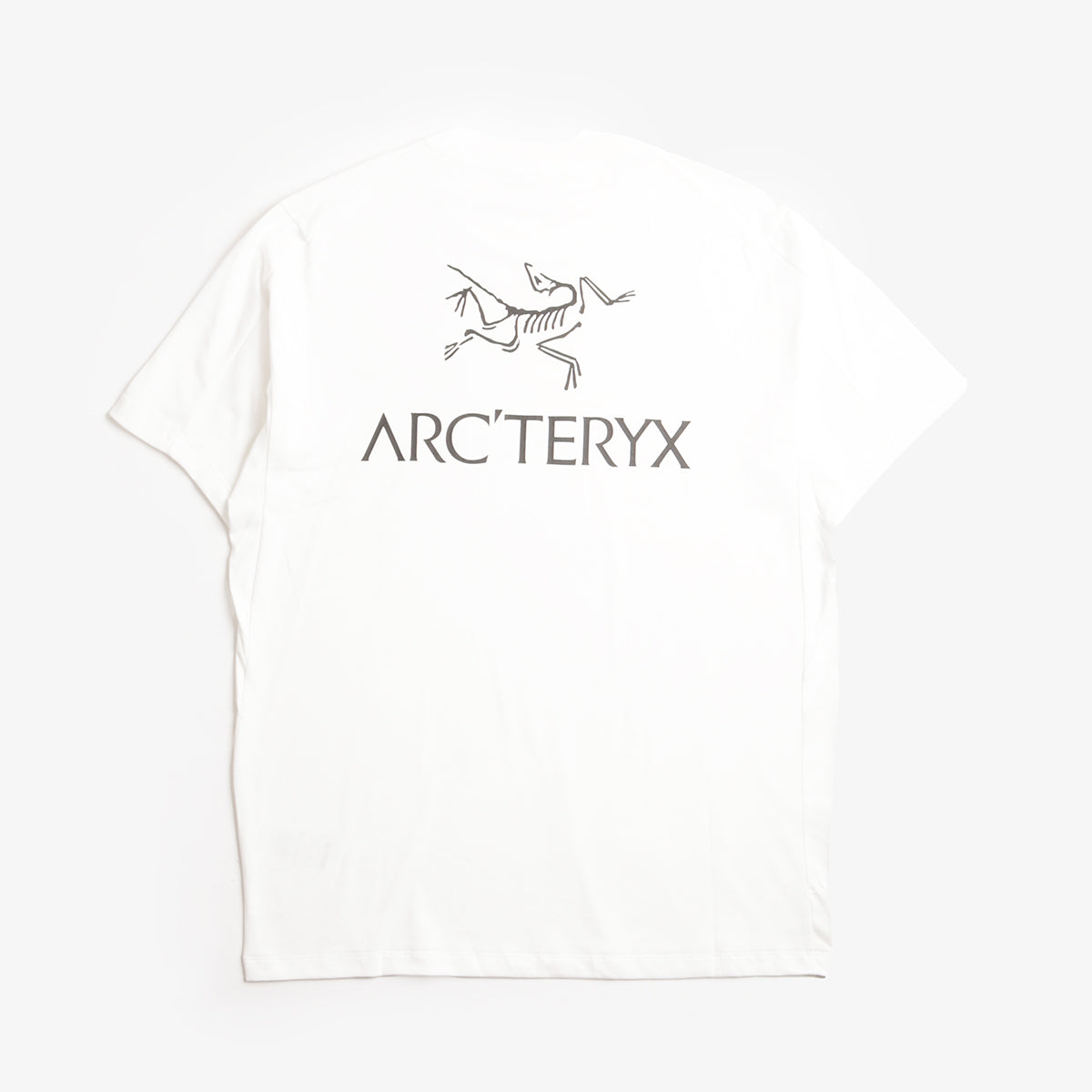 Arc'teryx Kragg SL Cotton Bird Word T-Shirt, White Light Black, Detail Shot 1
