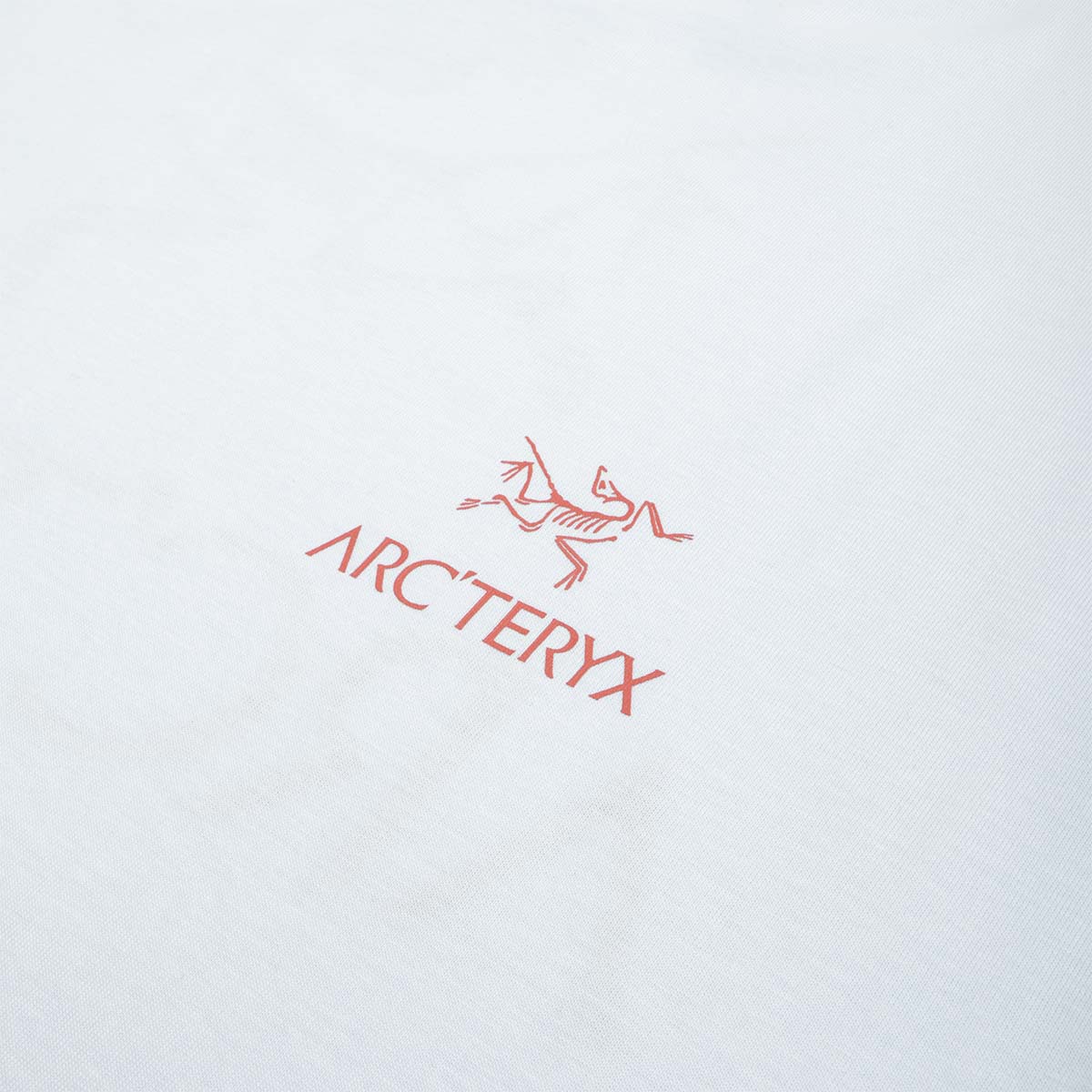 main Arc'teryx Kragg SL Cotton Bird Word T-Shirt, Alpine Blue Stone Red, Detail Shot 2