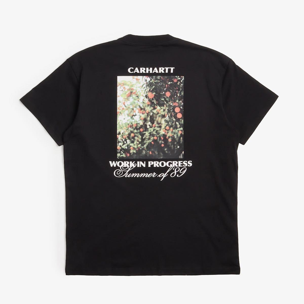 Carhartt WIP Warm Views T-Shirt