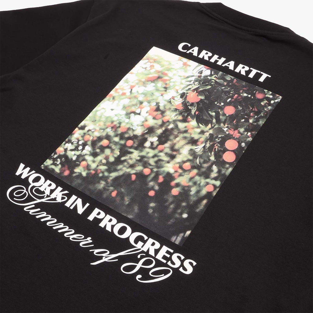 Carhartt WIP Warm Views T-Shirt