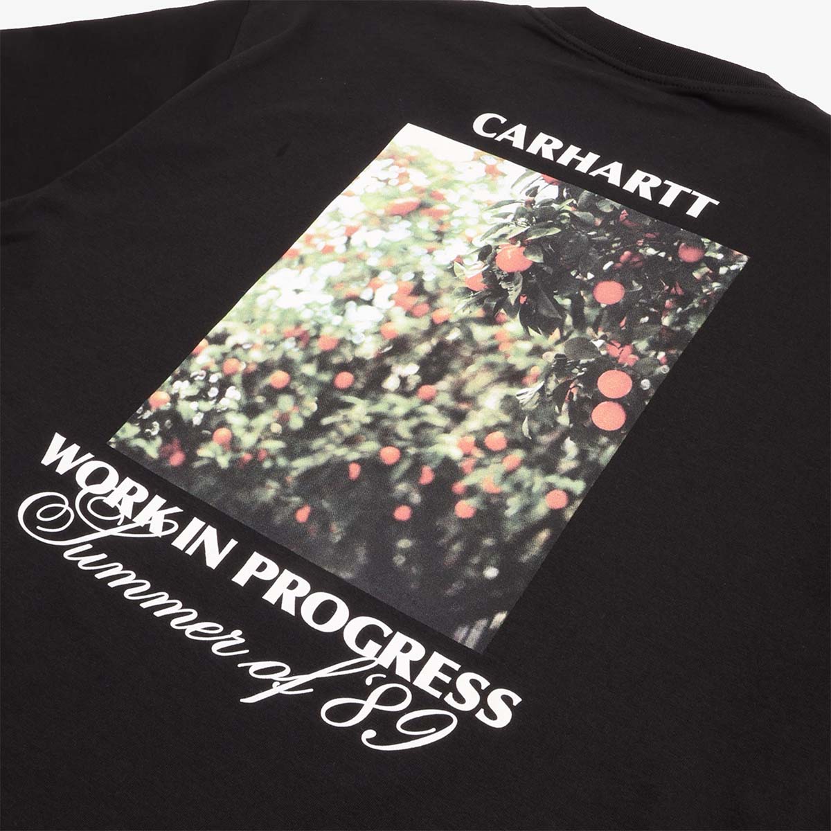 Carhartt WIP Warm Views T-Shirt