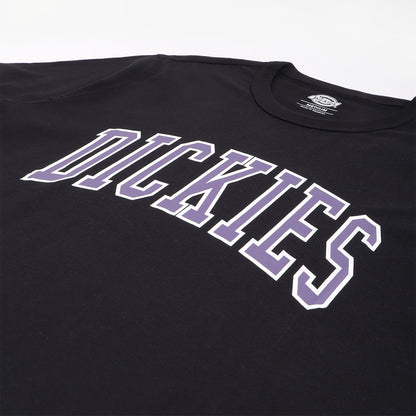 Dickies Aitkin T-Shirt, Black Imperial Palace, Detail Shot 2