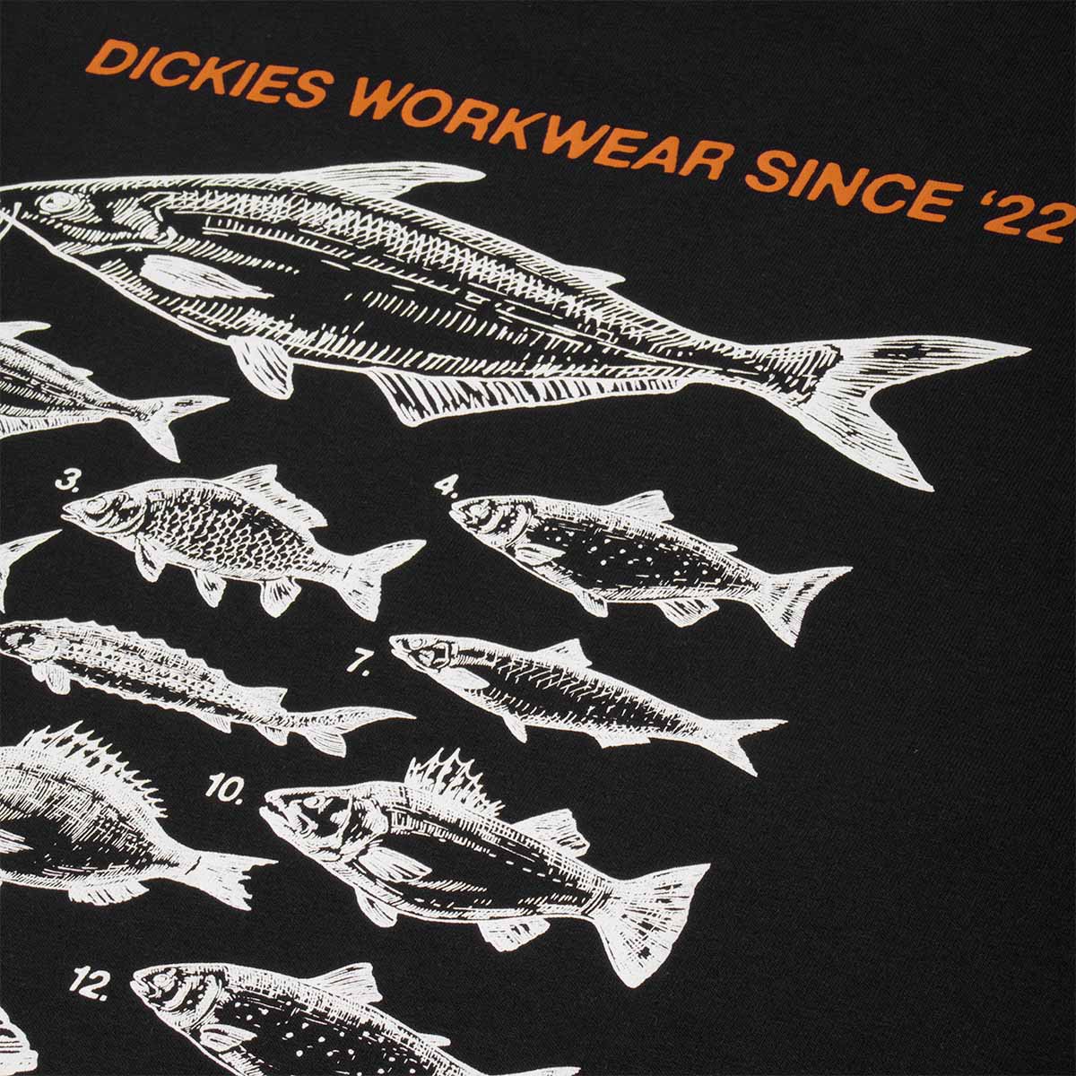 Dickies Laryville T-Shirt, Black, Detail Shot 5