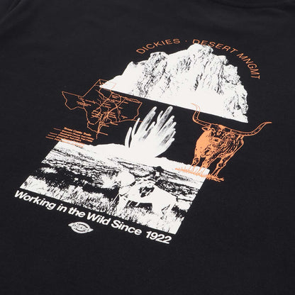 Dickies Pearisburg T-Shirt, Black, Detail Shot 4