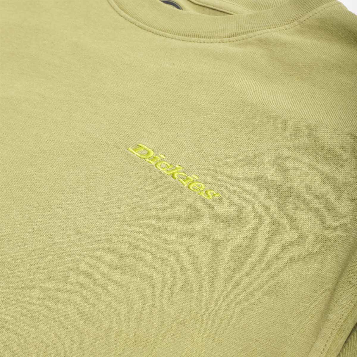 main Dickies Plentywood T-Shirt, Evergreen Sprig, Detail Shot 2