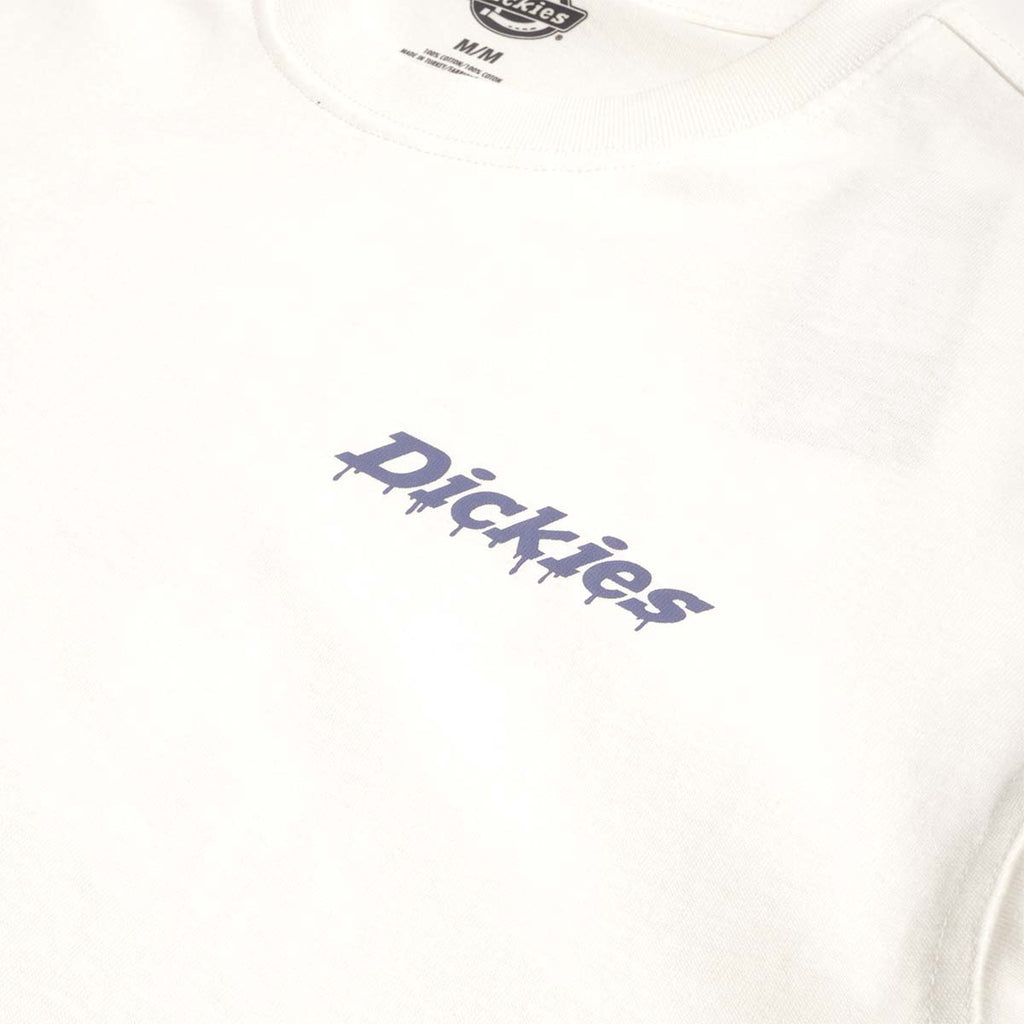 Dickies Statesville T-Shirt, Egret, Detail Shot 3