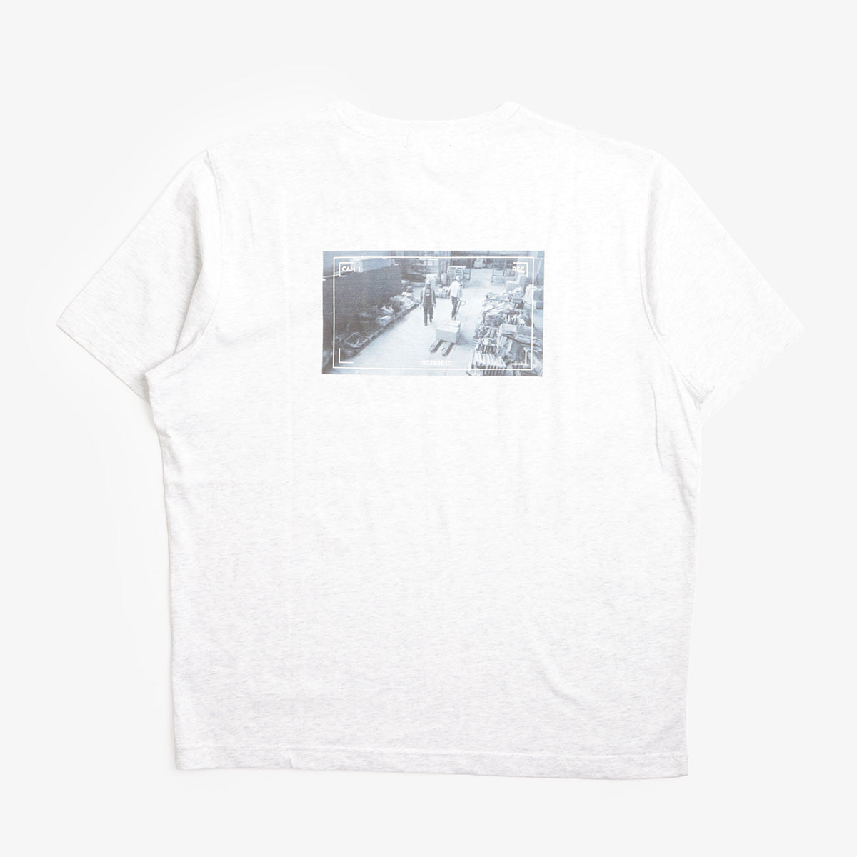 Dime Leak T-Shirt in Ash Grey, back print
