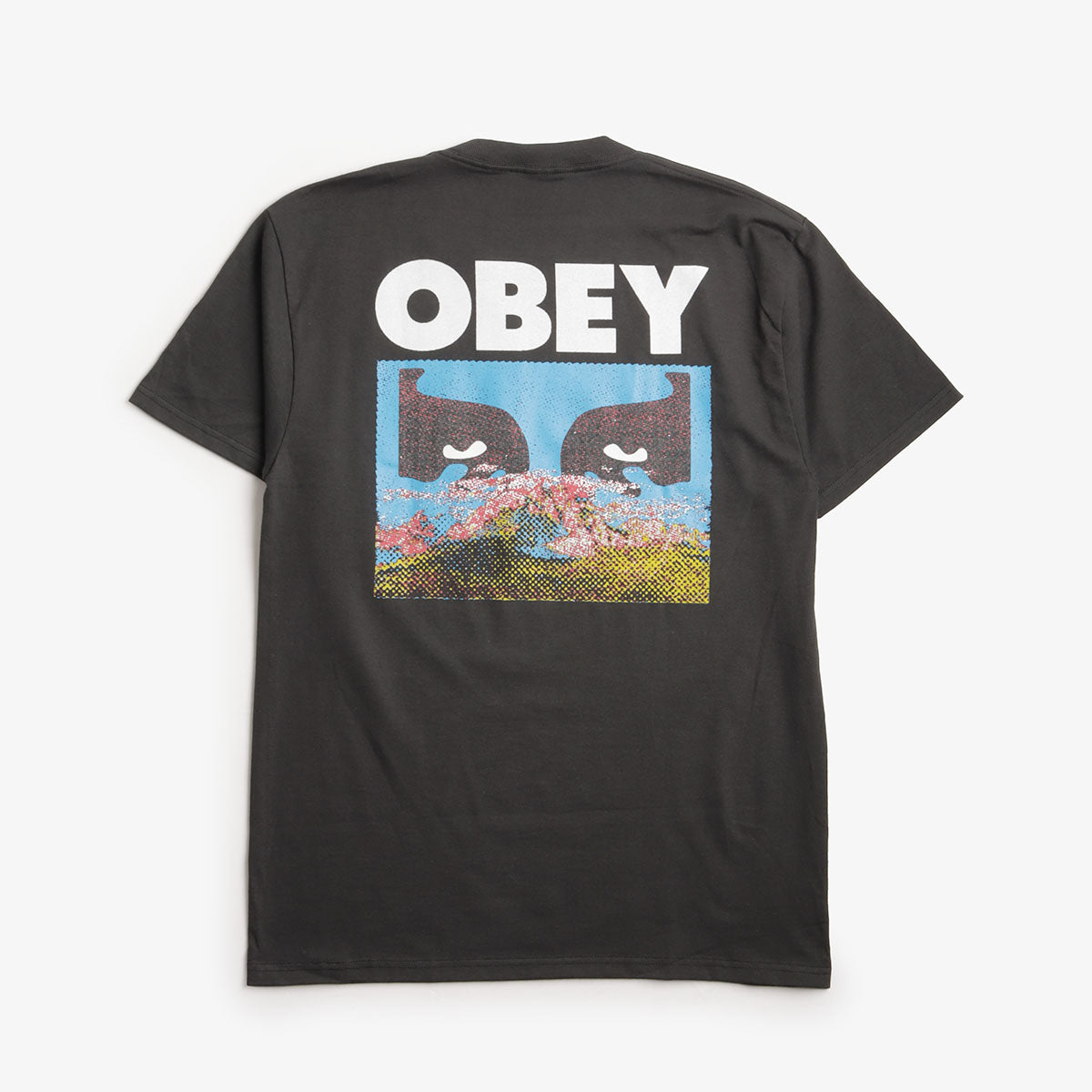OBEY In A Different Place T-Shirt, Vintage Black, Detail Shot 1