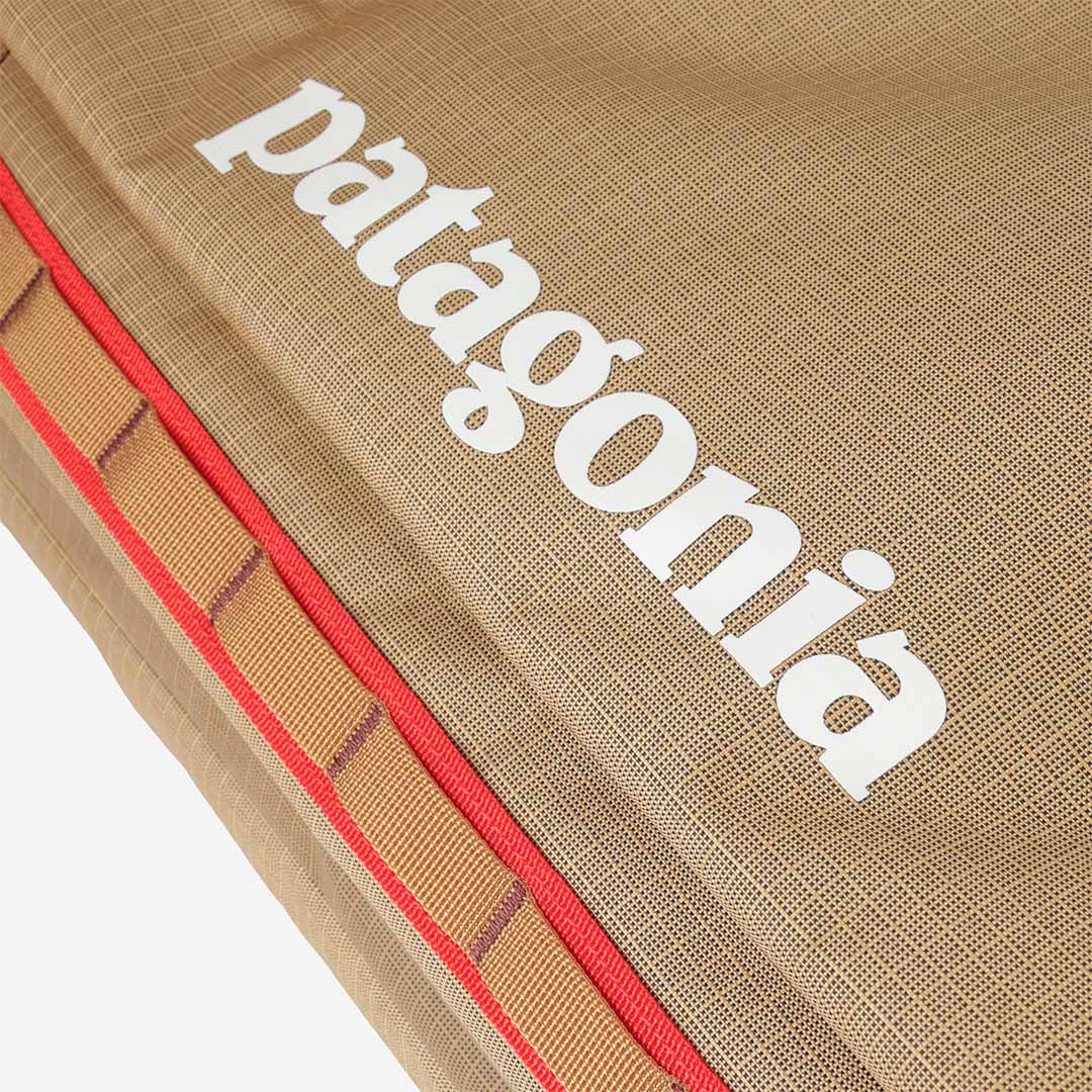 Patagonia Black Hole Micro MLC 22L Backpack, Talon Gold, Detail Shot 5