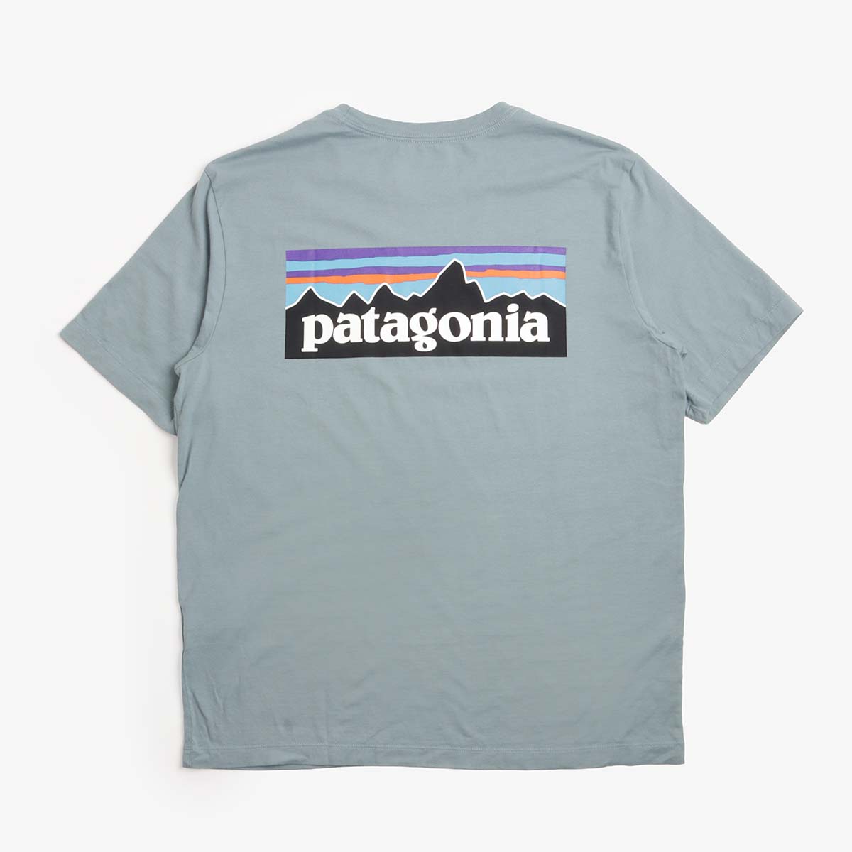 Patagonia P-6 Logo T-Shirt