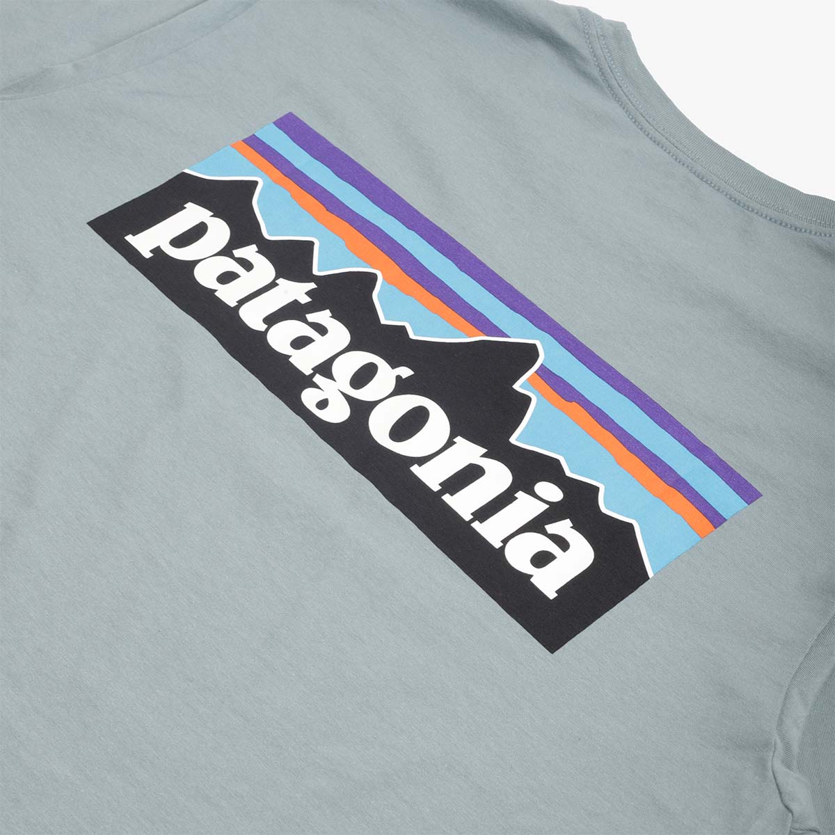 Patagonia P-6 Logo T-Shirt