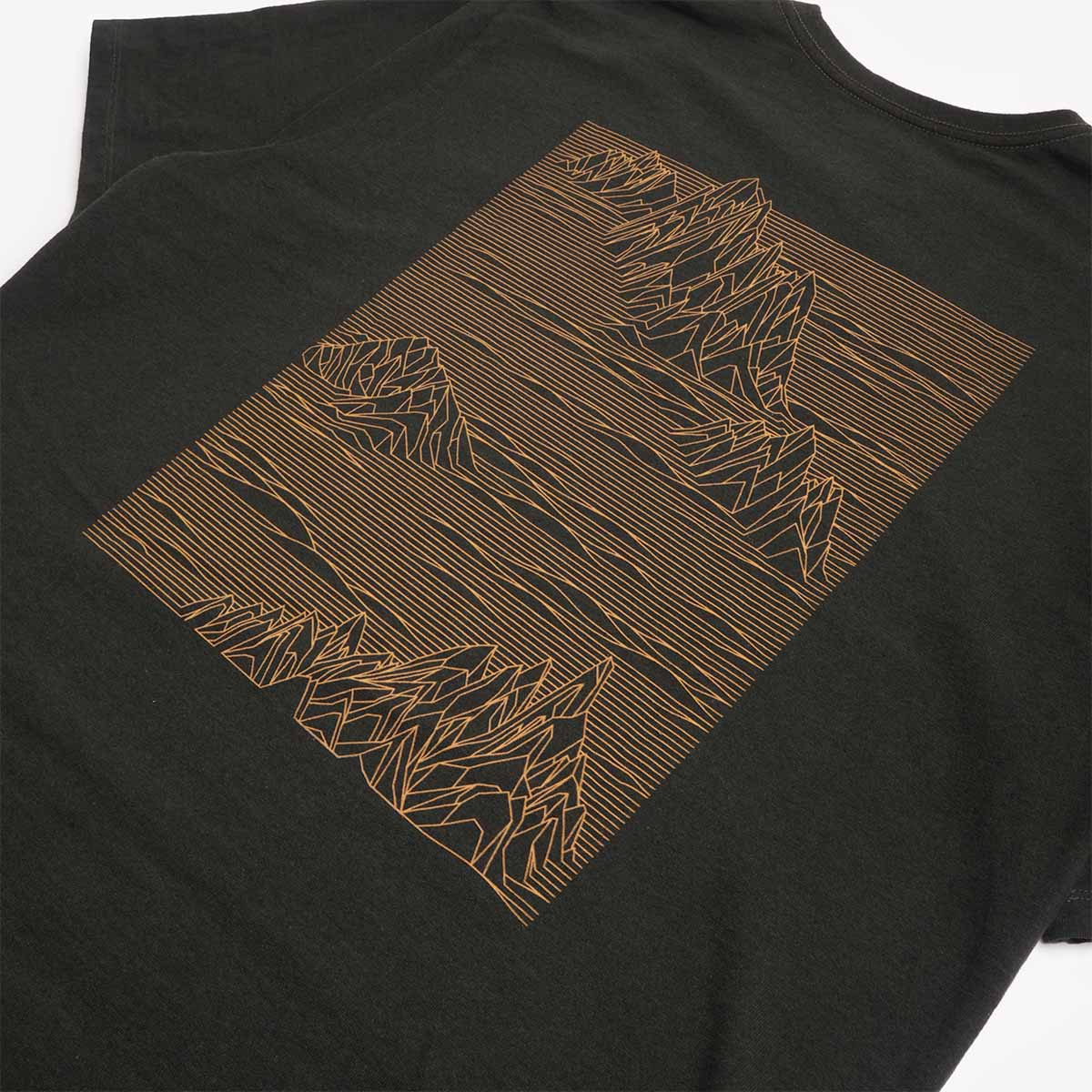 Patagonia Strataspire Responsibili-Tee T-Shirt, Old Growth Green, Detail Shot 4