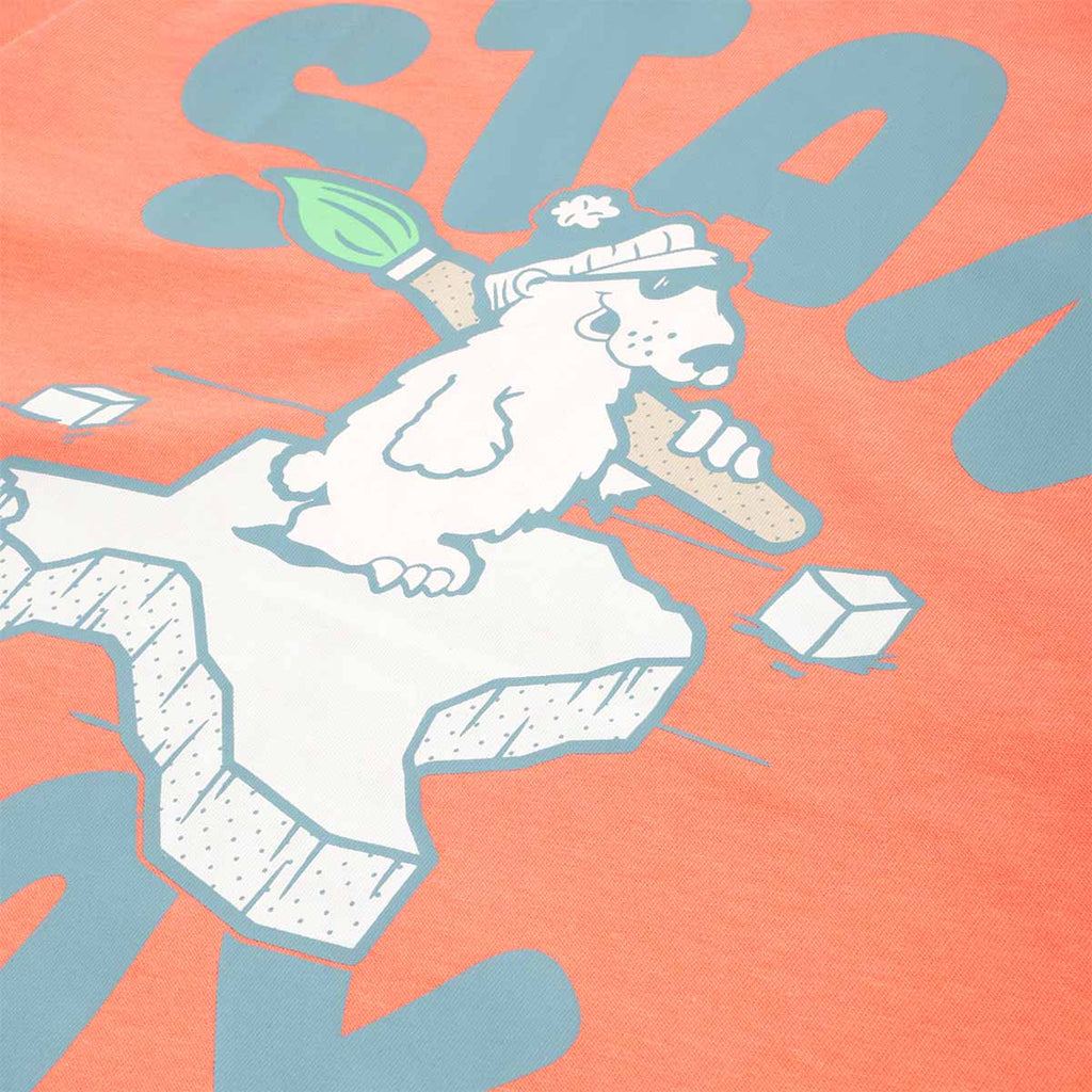Stan Ray Polar State T-Shirt, Washed Red, Detail Shot 4