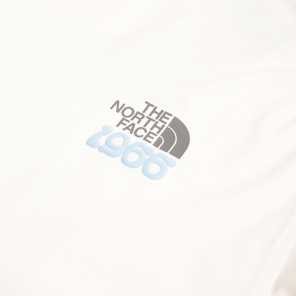 The North Face 1966 Flora Relaxed T-Shirt, White Dune, Detail Shot 2