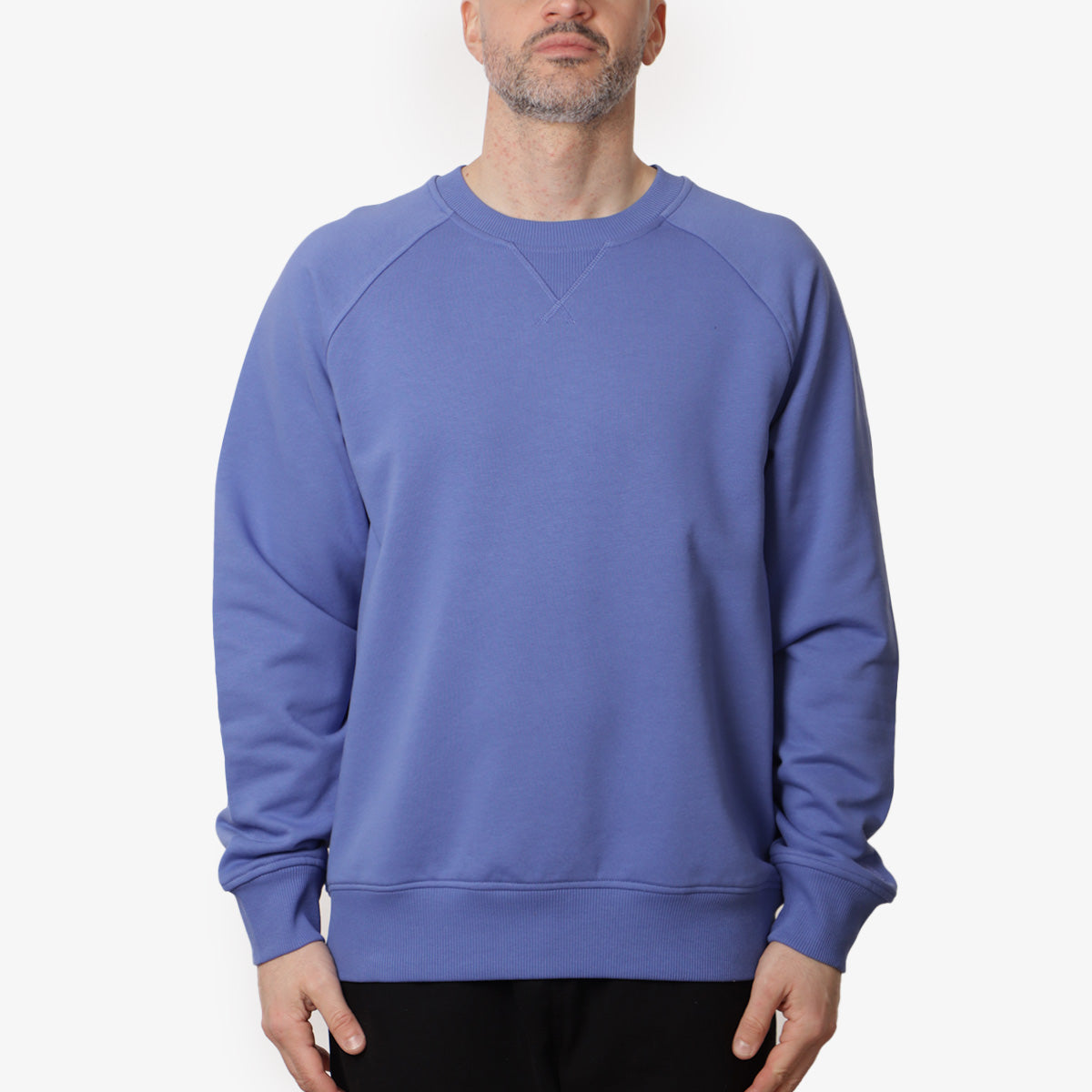 The North Face Logo RMST Relaxed Crew Sweatshirt, Indigo Plum, Detail Shot 2