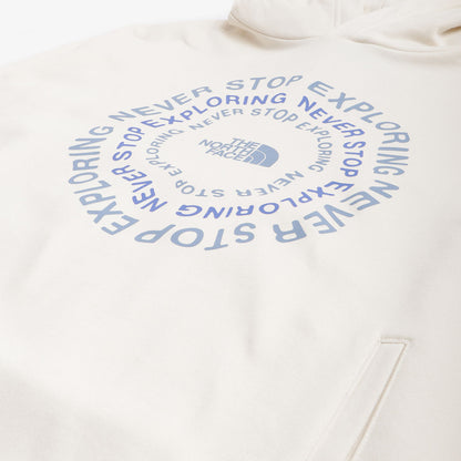 The North Face NSE Graphic Pullover Hoodie, White Dune, Detail Shot 2