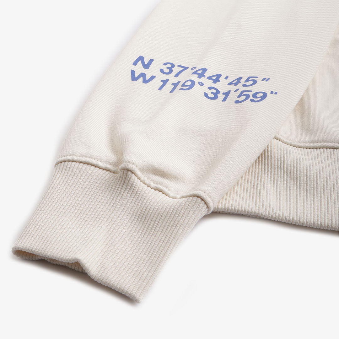 The North Face NSE Graphic Pullover Hoodie, White Dune, Detail Shot 4