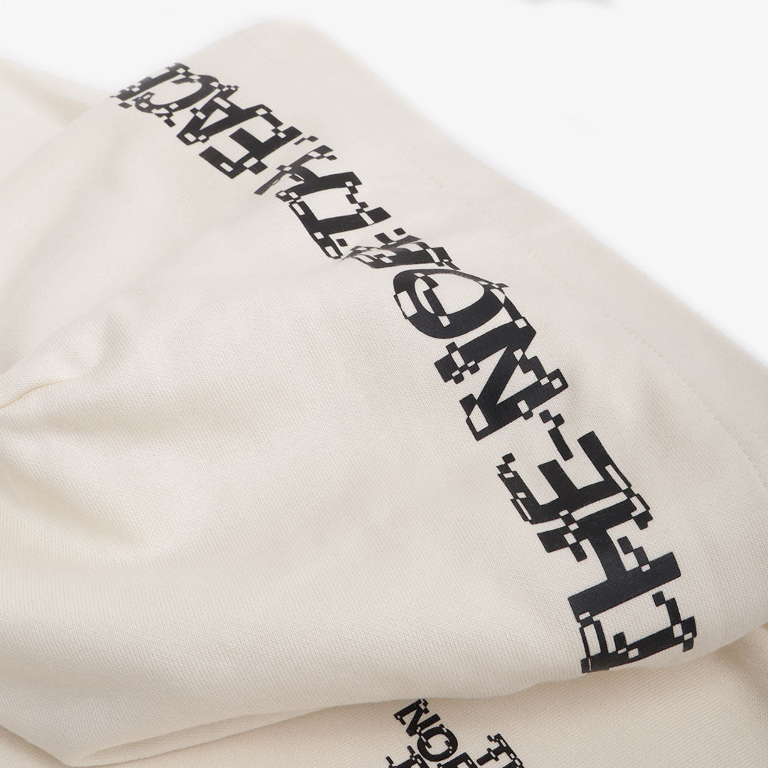 The North Face NSE Graphic Pullover Hoodie, White Dune, Detail Shot 6