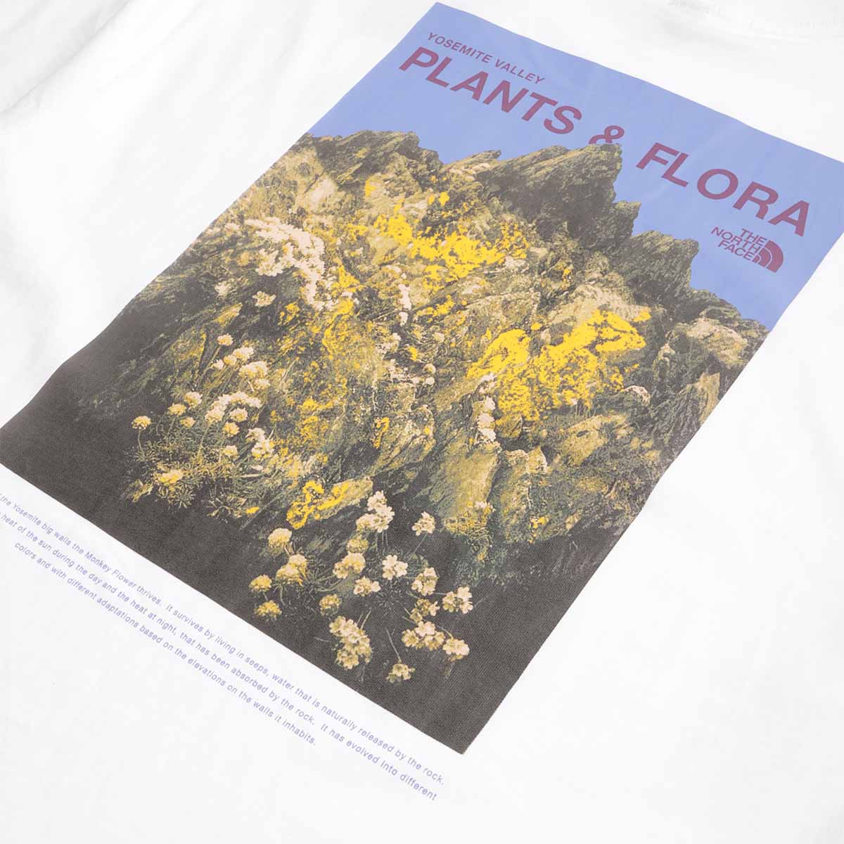 The North Face Plant & Flora Oversized Graphic T-Shirt, TNF White, Detail Shot 4