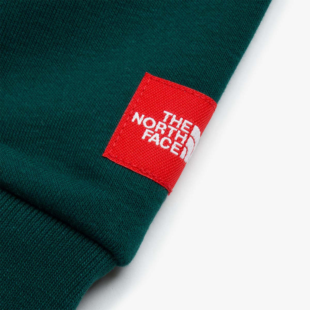 The North Face RedBox Hoodie, Hunter Green, Detail Shot 3