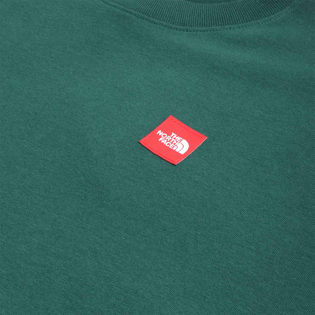 main The North Face RedBox T-Shirt, Hunter Green, Detail Shot 2