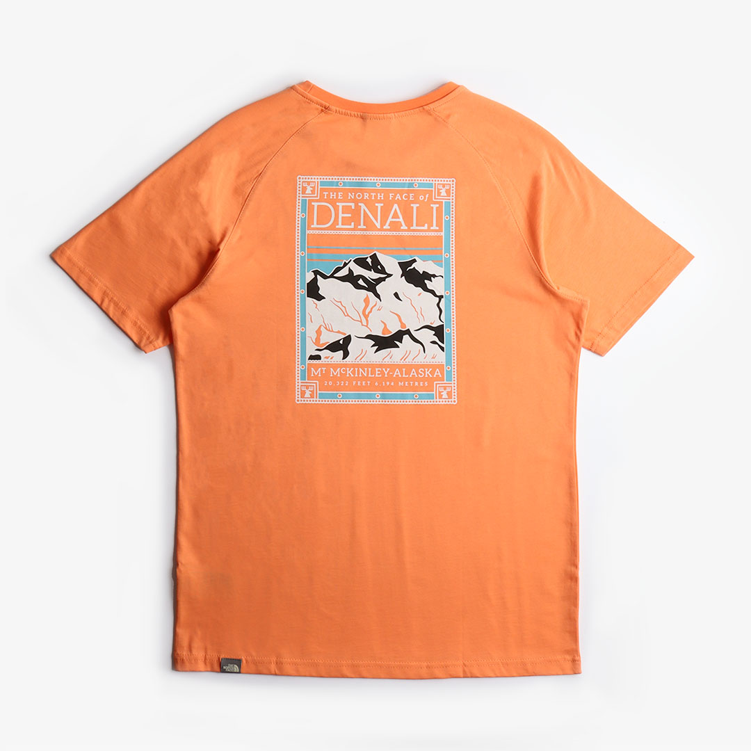 The North Face North Faces T-Shirt, Dusty Coral Orange, Detail Shot 1